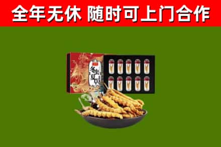 临翔区回收冬虫夏草价格